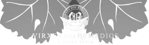 VIRXEN DOS REMEDIOS SAT Logo