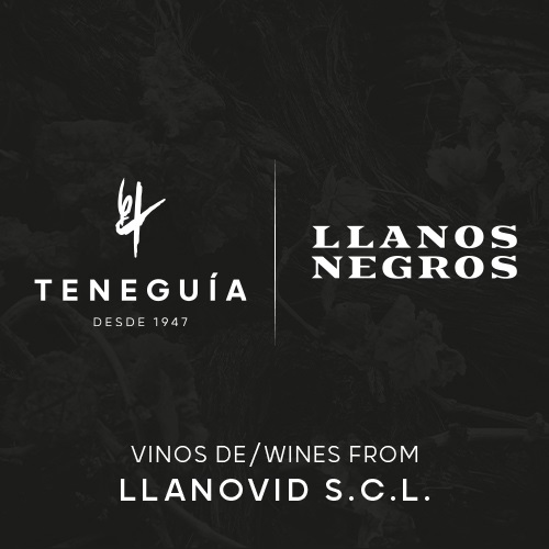 LLANOVID,S.C.L - Teneguia - Llanos Negros Logo