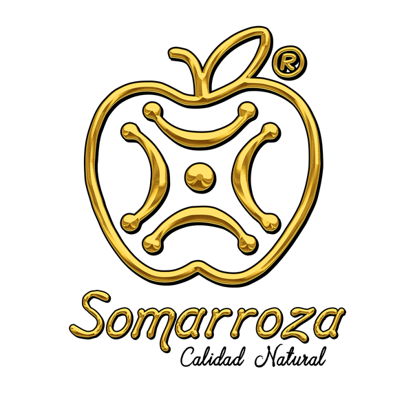 SIDRA SOMARROZA Logo